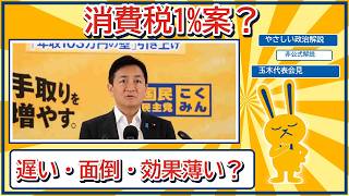 給付付き税額控除、2029年から？給付だけで本当に届くのかやさしく解説【７/28 玉木代表会見】