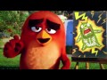 The Angry Birds Movie  (2016)     PAINT YOUR PAIN  Scene