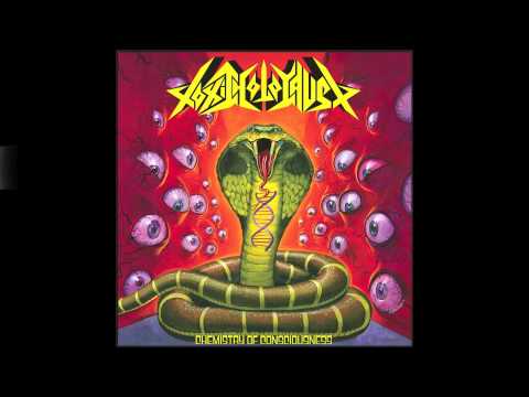 TOXIC HOLOCAUST: Chemistry of Consciousness [Full Album] HQ