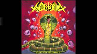 TOXIC HOLOCAUST: Chemistry of Consciousness [Full Album] HQ