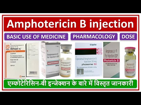 Bharat serum & vaccine ltd. amphonex amphotericin b injectio...