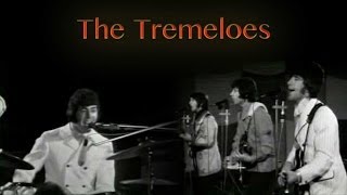 The Tremeloes - Here Comes My Baby