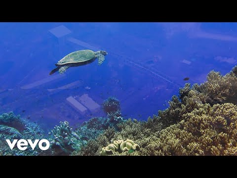 Midnight Oil - Reef (Visualiser)