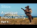 The Karena family: Struggles of horse breeders | SLICE
