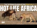 HOT LIFE AFRICA E2 BURNING PLAINS OF THE CHEETAH Animal Planet In Hindi