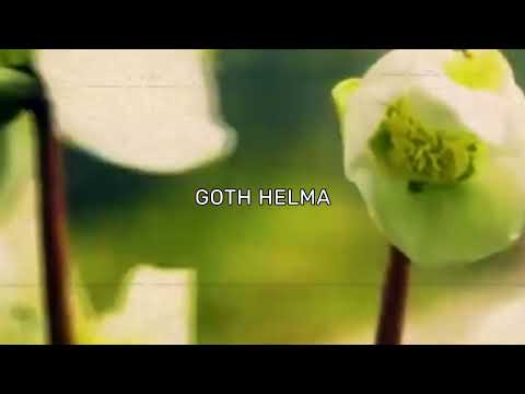 [FREE] SAD/CHILL $UICIDEBOY$ x BONES TYPE BEAT "CLOSE MY EYES"