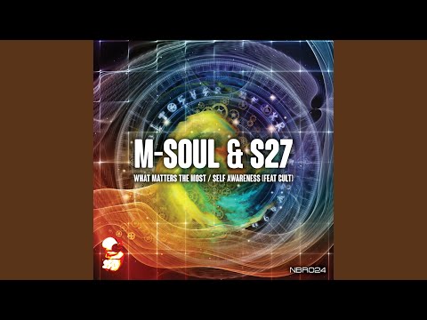 What Matters the Most