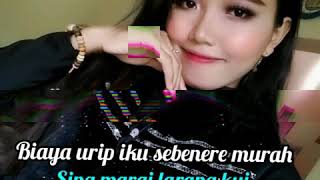 Download lagu STORY WA TIBO MBURI mp3 Download lagu STORY WA TIBO MBURI mp3