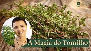 Tomilho e suas Propriedades Mágicas - Bruxaria & Magia das Ervas