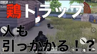 ワナを仕掛ける！鶏に使うトラップは人にも通用するのか！？