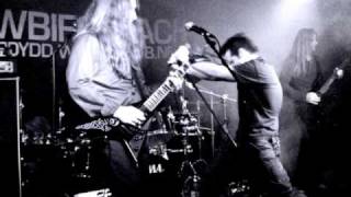 My Silent Wake - Bleak Endless Winter - doom metal death/doom
