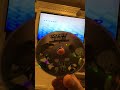 Opening To Looney Tunes The Spotlight Collection Volume 5 2007 DVD Disc 2