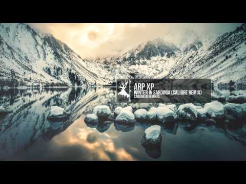 Arp XP - Winter in Sardinia (Calibre Remix)