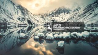 Arp XP - Winter in Sardinia (Calibre Remix)