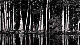 Come Over   Paul Taylor