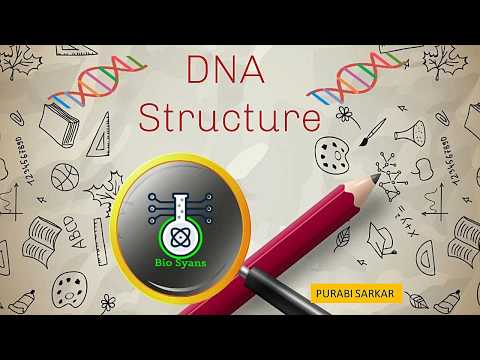 DNA Structure | Purine Vs Pyrimidine | Nucleosides vs Nucleotides | Pentose Sugars | Polynucleotide