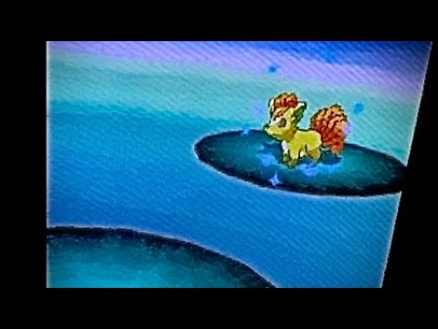 [LIVE] Shiny Vulpix after 4,366 RE’s+!!! (Black)