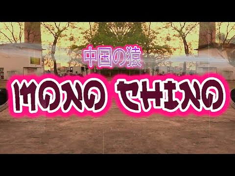 SAIT - MONO CHINO [PROD.EME BEATS]