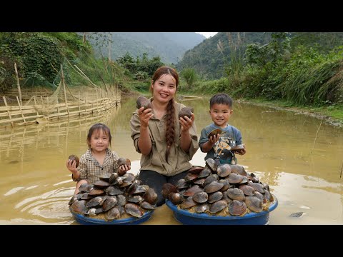 How to harvest giant oysters to sell at the market - and cook oyster porridge for the kids to eat