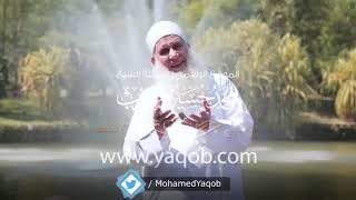 03 - الجزء الثالث  |( #قرآنا_عجبا )| الشيخ محمد حسين يعقوب image