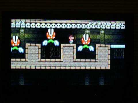 Super Mario Maker: Escape the Piranha Plant House