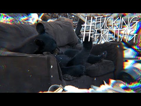 Video thumbnail for Chinchilla
