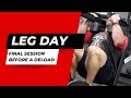 Leg Day Explained | Pre-Deload Annihilation