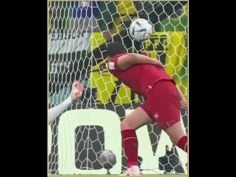 Richarlison acrobatic goal against Serbia