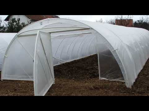 Kako izgleda moderna proizvodnja povrća 365 dana godišnje?