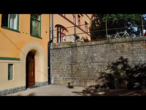 Roland Hassel av Daniel Berg