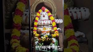 அன்னாபிஷேகம் (annabishekam) ...சிவன் #shivam #lordshiva #lord #god #godshivan