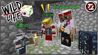 Cover art for We're In For a WILD Ride! - Wild Life #1