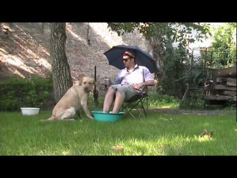 PSI TRIK 4 - "przynieś lemoniadę"