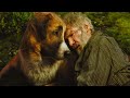Buck John Thornton The Unbreakable Bond Between A Dog And His Savior The Call Of The Wild