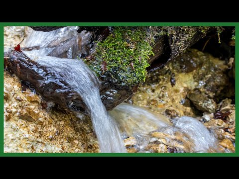 10 Stunden Bach plätschern beruhigende Wasserklänge zum Meditieren, Entspannen, Einschlafen