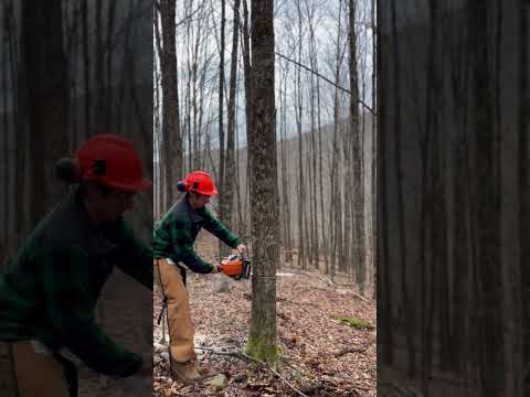 Feed Deer In Winter W/ Two Steps 🦌🦌 #DeerHabitat