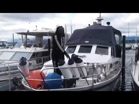 Ayimoleli, SWEDE SWEDE Nouvelle Image de Bebeto Bass Betabass