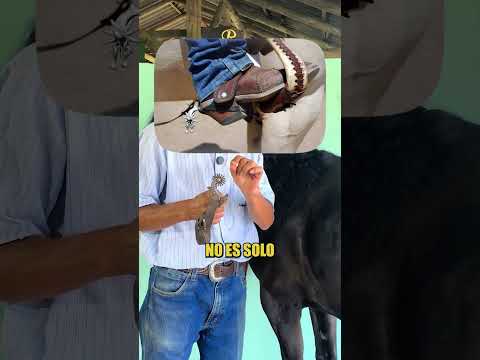 Wild West - Mexico Cuna de Campeones