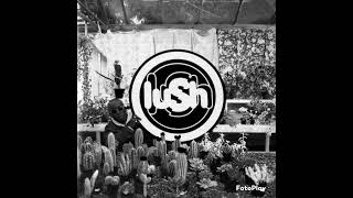 Lush - I&#39;ve Been Here Before (Semi-instrumental with louder backing vocals)