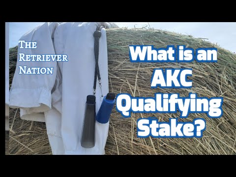 Akc Owner Handled Rankings