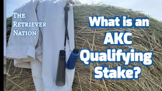 What is an AKC Qualifying Stake~Owner Handler Qualifying~The Retriever Nation