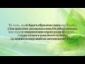 Шейх Албани | Возвращаются ли души умерших в наш мир? 