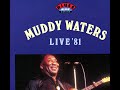 Muddy  Waters  Live 1981 //  My home is in the Delta // from Laser Disc - augaki1 Muddy  Waters  Live 1981 //  My home is in the Delta // from Laser Disc
