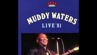 Muddy  Waters  Live 1981 //  My home is in the Delta // from Laser Disc