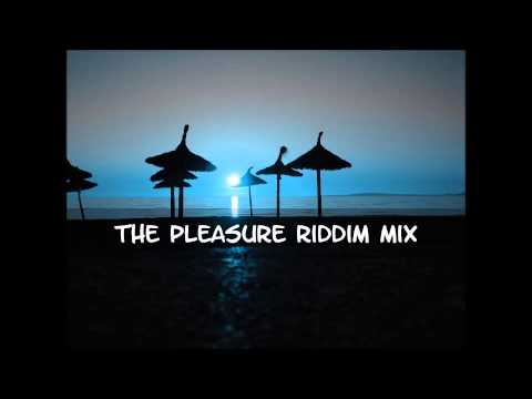 The Pleasure Riddim Mix 2013
