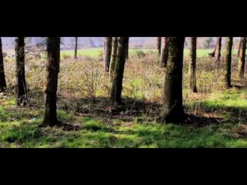 Anna Mitchell- Let's Run Away (Official HD Video)