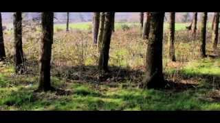 Anna Mitchell- Let&#39;s Run Away (Official HD Video)