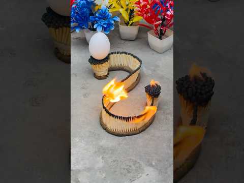 Soft boil egg Episode 116 #shorts #ytshorts