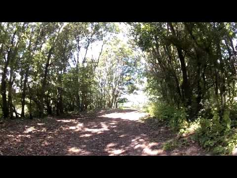 den ene tunel amagerhallen