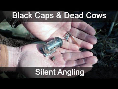 Barbel fishing uk - river Wye - floodwater tactics tackle bait technique - Silent Angling